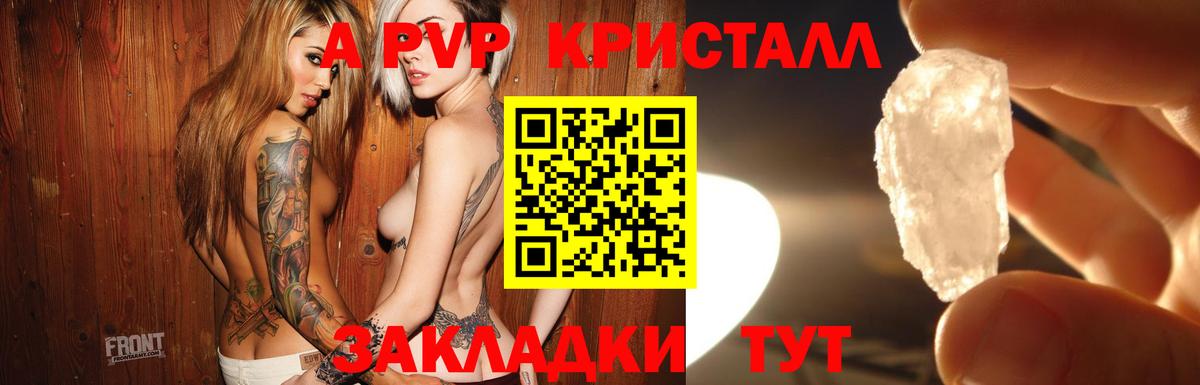 Alpha-PVP крисы CK  Вход с VPN  Моршанск  где купить наркоту  Alpha-PVP крисы CK 