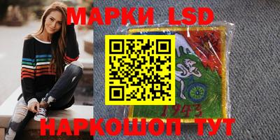 молекула духа Будённовск