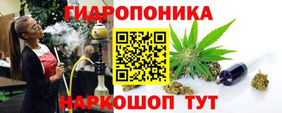 молекула духа Будённовск