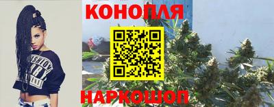 молекула духа Будённовск