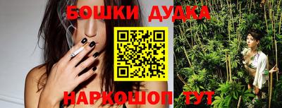 молекула духа Будённовск