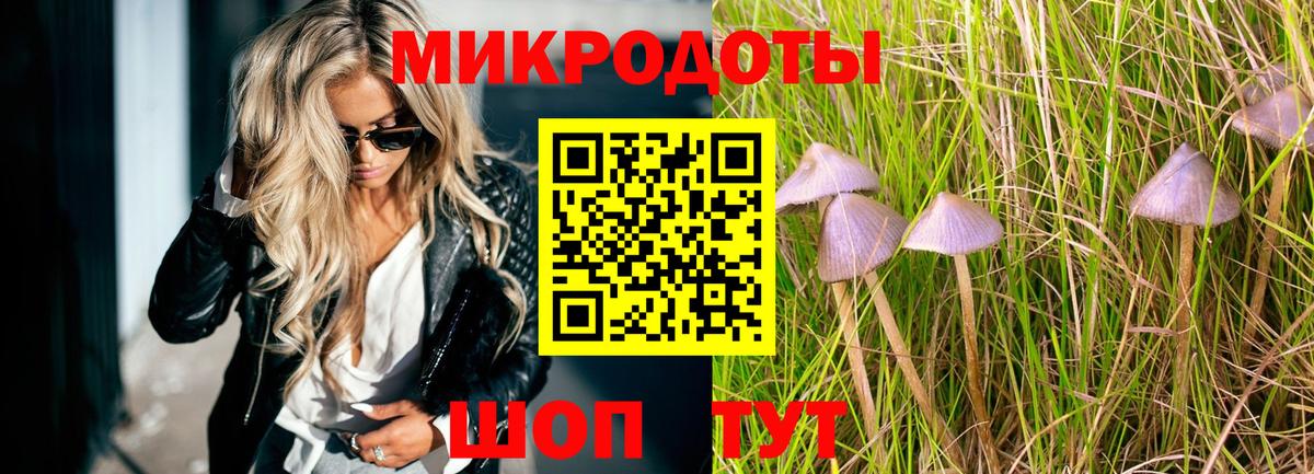 Моршанск  Галлюциногенные грибы прущие грибы  Вход с VPN  Галлюциногенные грибы прущие грибы 